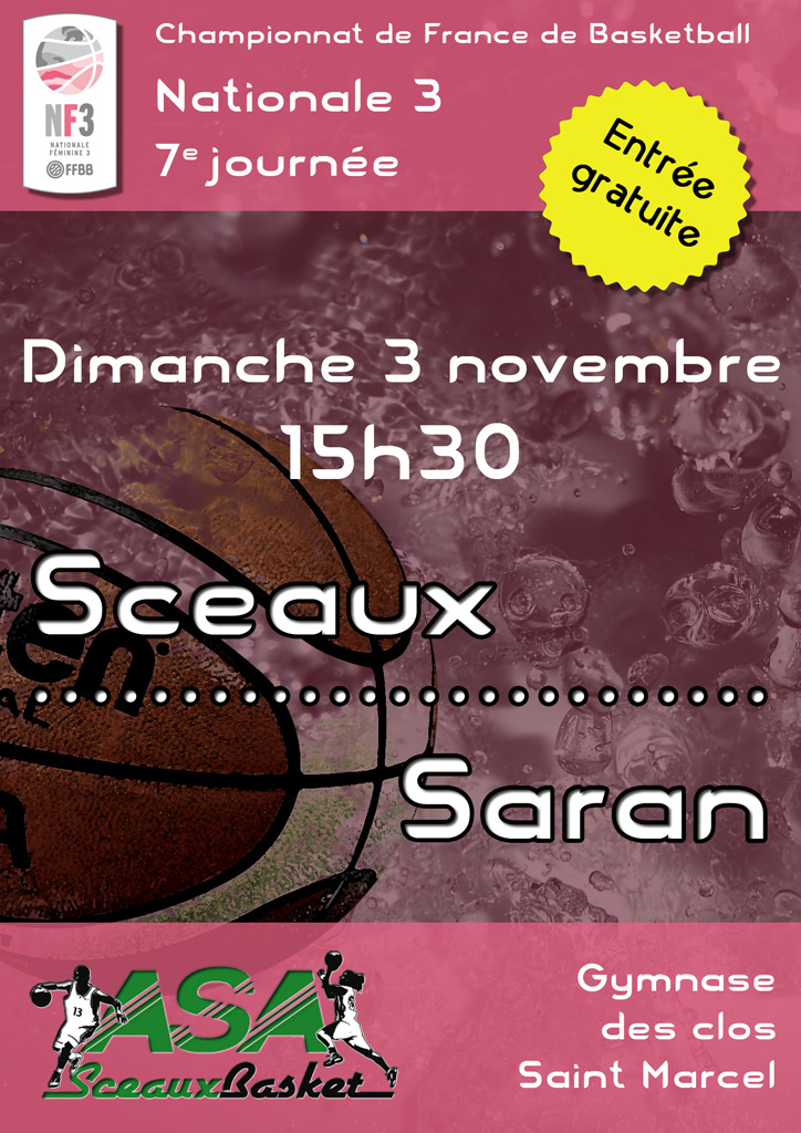 NF3 - Sceaux / Saran, dimanche 3 novembre 2013 à 15h30